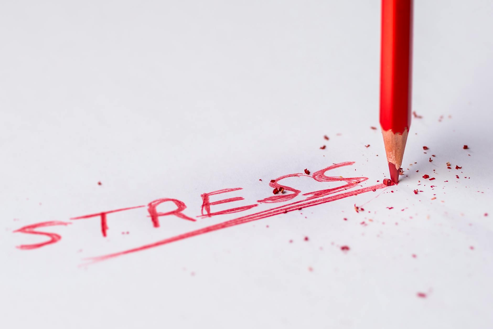 Understanding Stress: Navigating National Stress Awareness Month